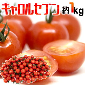 和歌山産 フルーツミニトマト ”キャロルセブン” 約1kg【予約 入荷次第発送】
