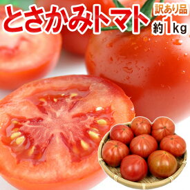 高糖度 夜須のフルーツトマト ”高知県夜須産 とさかみトマト” 約1kg 訳あり・ご家庭用【予約 1月下旬以降】