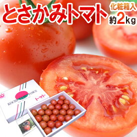 高知県夜須産 高糖度フルーツトマト ”とさかみトマト” 秀品 約2kg 化粧箱【予約 入荷次第発送】 送料無料