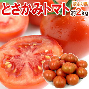 x {̃t[cg}g hm{Y Ƃ݃g}gh 2kg 󂠂Eƒpy\ 1{ȍ~z 