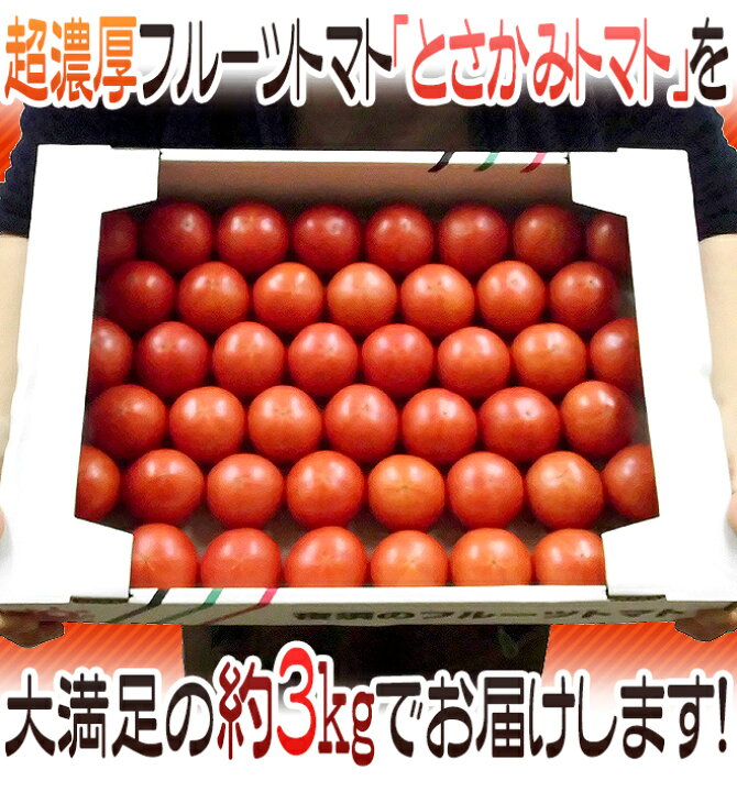 楽天市場】高知県夜須産 高糖度 夜須のフルーツトマト ”とさかみ 