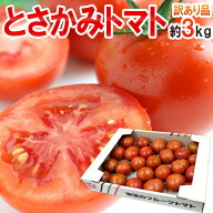 高知県夜須産 高糖度 夜須のフルーツトマト ”とさかみトマト” 約3kg 訳あり・ご家庭用【予約 1月下旬以…