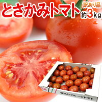 高知県夜須産 高糖度 夜須のフルーツトマト ”とさかみトマト” 約3kg 訳あり・ご家庭用 送料無料