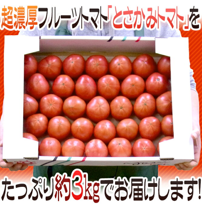 楽天市場】高知県夜須産 高糖度 夜須のフルーツトマト ”とさかみトマト 