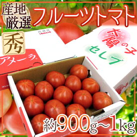 ”フルーツトマト” 約900g〜1kg 3箱購入で送料無料！アメーラ・ブリックスナイン・太陽の子セレブのいずれかでお届け【予約 入荷次第発送】