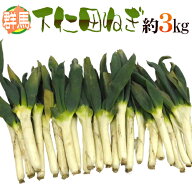 ”群馬県 下仁田ネギ” 12〜30本前後 約3kg 殿様ねぎ【予約 11月中下旬以降】 送料無料