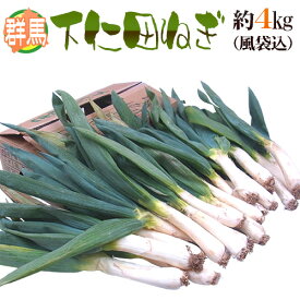 ”群馬県 下仁田ネギ” 16〜40本前後 風袋込約4kg 殿様ねぎ【予約 11月中下旬以降】 送料無料