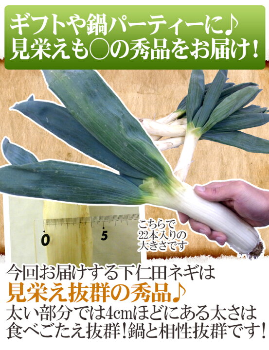 楽天市場】群馬県 ”下仁田ネギ” 16〜40本前後 約4kg 殿様ねぎ【予約 11月中下旬以降】 送料無料 : くらし快援隊〜お中元お歳暮ギフト 楽天市場】群馬県 ”下仁田ネギ” 16〜40本前後 約4kg 殿様ねぎ【予約 11月中下旬以降】 送料無料 : くらし快援隊〜お中元お歳暮ギフト