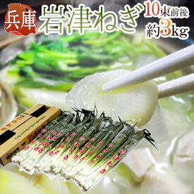 兵庫県朝来 ”岩津ねぎ” 秀品 10束前後 約3kg【予約 11月末以降】 送料無料