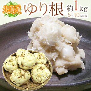 hkCY 荪h Ɩ󂠂 5`10 1kg ˁy\ 11{ȍ~z 