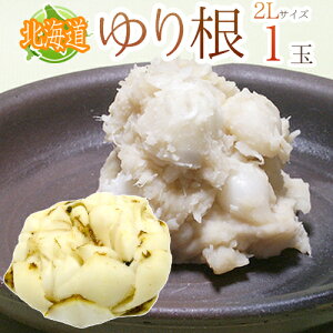 hkCY 荪h Ɩ󂠂 2LTCY 1 ˁy\ 11{ȍ~z