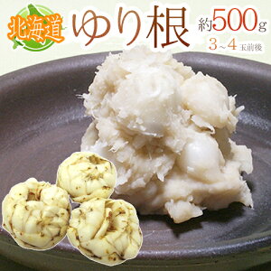 ゆりね 野菜 きのこの通販 価格比較 価格 Com ゆりね 野菜 きのこの通販 価格比較 価格 Com