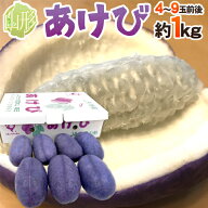 山形県 ”あけび” 秀品 4〜9玉前後 約1kg 木通（アケビ）【予約 9月中旬以降】 送料無料