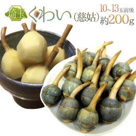 ”埼玉県 くわい” Sサイズ 約200g前後【予約 12月以降】