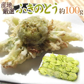 ”ふきのとう” 約100g 大きさおまかせ 山菜【予約 2月以降】