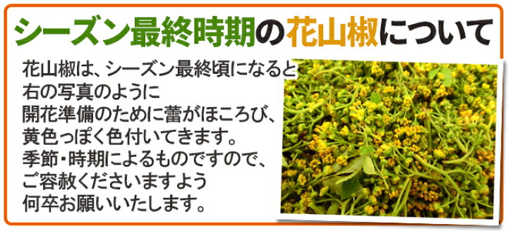 楽天市場 花さんしょ 花山椒 風袋込約100g 予約 4月以降 くらし快援隊 母の日父の日お歳暮