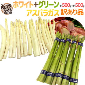 ”グリーン＋ホワイトアスパラガスセット” 訳あり 約500g＋約500g（計約1kg）北海道/長野/広島/佐賀/福岡 など産地厳選【予約 4月以降】 送料無料