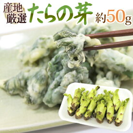 ”たらの芽（タラノメ）” 約50g 大きさおまかせ 山菜【予約 2月以降】