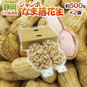 ÉY JAƂ҂l hW{ȂܗԐi܂jh 500g×2܁i1kgjy\ ׎攭z 