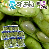 京都・丹波の黒豆 ”夏ずきん” 秀品 10袋（約1.8～2kg） 早生黒豆 枝豆【予約 8月以降】 送料無料