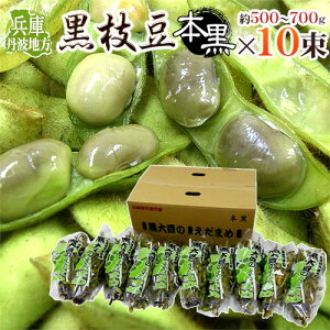  Ogn h}t} {h 500`700g×10pc y\ 10{ȍ~z 