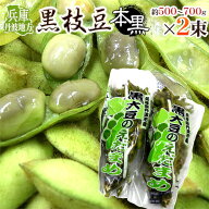 兵庫 丹波地方 ”枝付き黒枝豆 本黒” 約500〜700g×2pc 黒豆【予約 10月中下旬以降】 送料無料