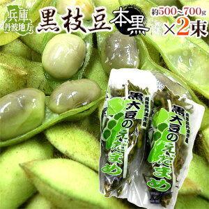  Ogn h}t} {h 500`700g×2pc y\ 10{ȍ~z 