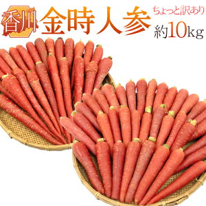 にんじん 1kgの人気商品 通販 価格比較 価格 Com にんじん 1kgの人気商品 通販 価格比較 価格 Com