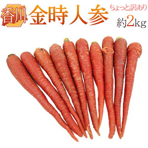 h쌧 lQh Ɩ󂠂 2kg 傫܂y\ 11{ȍ~z 