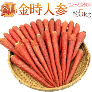 にんじん 1kgの人気商品 通販 価格比較 価格 Com にんじん 1kgの人気商品 通販 価格比較 価格 Com