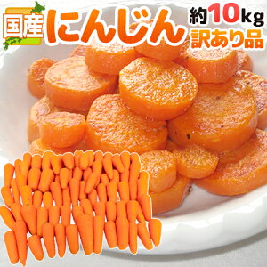 YI hɂ񂶂h 󂠂 10kg Yn܂ lQ 