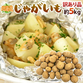 【送料無料】北海道産 ”じゃがいも” 訳あり 約5kg 大きさおまかせ【予約 8月末以降】