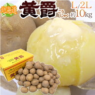 北海道 北見産 じゃがいも ”黄爵” 秀品 大玉L〜2Lサイズ 約10kg 男爵芋【予約 8月末以降】 送料無料