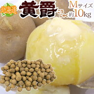 じゃがいも ”北海道 北見産 黄爵” 秀品 Mサイズ 約10kg 男爵芋【予約 8月末以降】 送料無料