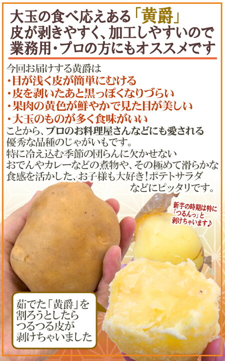 楽天市場】北海道 北見産 じゃがいも ”黄爵” 秀品 Mサイズ 約10kg 男爵芋【予約 8月末以降】 送料無料 : くらし快援隊〜お中元お歳暮ギフト 楽天市場】北海道 北見産 じゃがいも ”黄爵” 秀品 Mサイズ 約10kg 男爵芋【予約 8月末以降】 送料無料 : くらし快援隊〜お中元お歳暮ギフト
