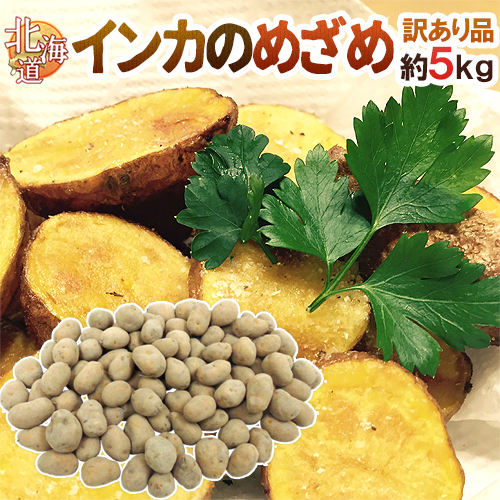 栗やさつまいもを思わせる甘さの新品種じゃがいも♪ 北海道 ”インカのめざめ” 訳あり 約5kg 大きさおまかせ ジャガイモ【予約 9月末以降】 送料無料