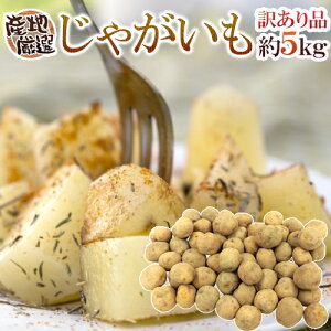 hႪh 󂠂 5kg 傫܂ YnI 