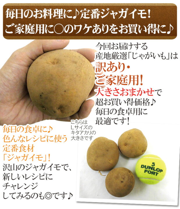 楽天市場】”じゃがいも” 訳あり 約5kg 大きさおまかせ 産地厳選 送料 
