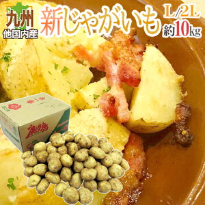 hVႪh Gi L`2LTCY 10kg BقYy\ ׎攭z 