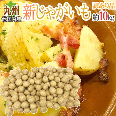 【送料無料】”新じゃがいも” 訳あり 約10kg 大きさおまかせ 九州ほか国内産【予約 2月下旬以降】|ROOM - 欲しい! に出会える。 【送料無料】”新じゃがいも” 訳あり 約10kg 大きさおまかせ 九州ほか国内産【予約 2月下旬以降】|ROOM - 欲しい! に出会える。