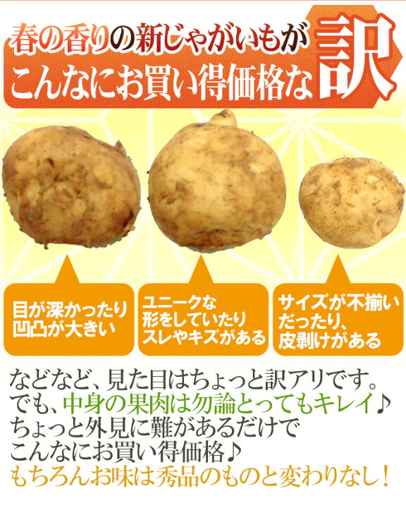 楽天市場 新じゃがいも 訳あり 約10kg 大きさおまかせ 九州ほか国内産 予約 入荷次第発送 送料無料 くらし快援隊 お中元お歳暮ギフト