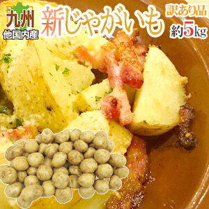 hVႪh 󂠂 5kg 傫܂ BقYy\ ׎攭z 