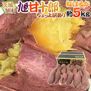 錧  nx܂ hÏ\Y g͂邩h Ɩ󂠂 5kg 傫܂ Tc}Cy\ 1ȍ~z 