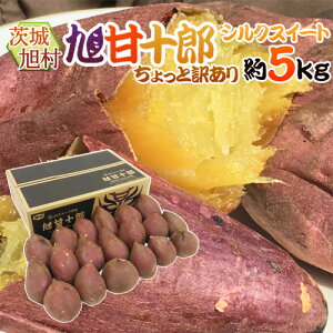 錧  nx܂ hÏ\Y VNXC[gh Ɩ󂠂 5kg 傫܂ Tc}Cy\ 1ȍ~z 