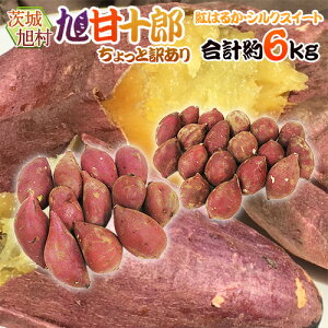 nx܂ h錧  Ï\Y g͂邩{VNXC[g Hה׃Zbgh Ɩ󂠂 傫܂ v6kgy\ 1ȍ~z 