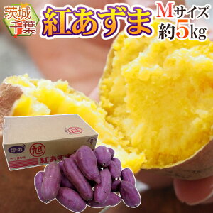 tE錧Y hg܁h MTCY 5kg ܂y\ ׎攭z