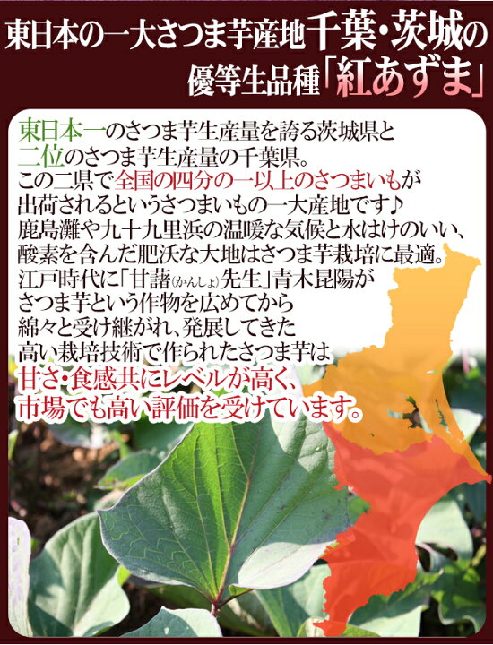 楽天市場】千葉・茨城県産 ”紅あずま” Mサイズ 約5kg さつまいも【予約 9月以降】 : くらし快援隊〜お中元お歳暮ギフト 楽天市場】千葉・茨城県産 ”紅あずま” Mサイズ 約5kg さつまいも【予約 9月以降】 : くらし快援隊〜お中元お歳暮ギフト