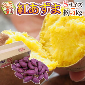 tE錧Y hg܁h STCY 5kg ܂y\ ׎攭z