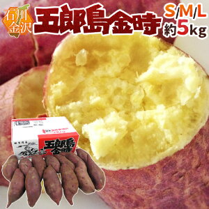 ΐ쌧  hܘYh S/M/LTCY 5kg ܂y\ 9ȍ~z 