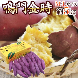 Y hh Gi M`LTCY 5kg ܂y\ ׎攭z